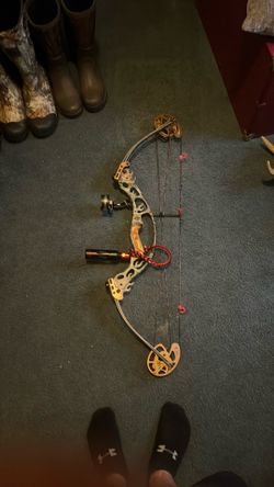 Hoyt Turbo Tech XT 2000