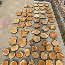 Bradford Pear Wood Live Edge Slice Cookie