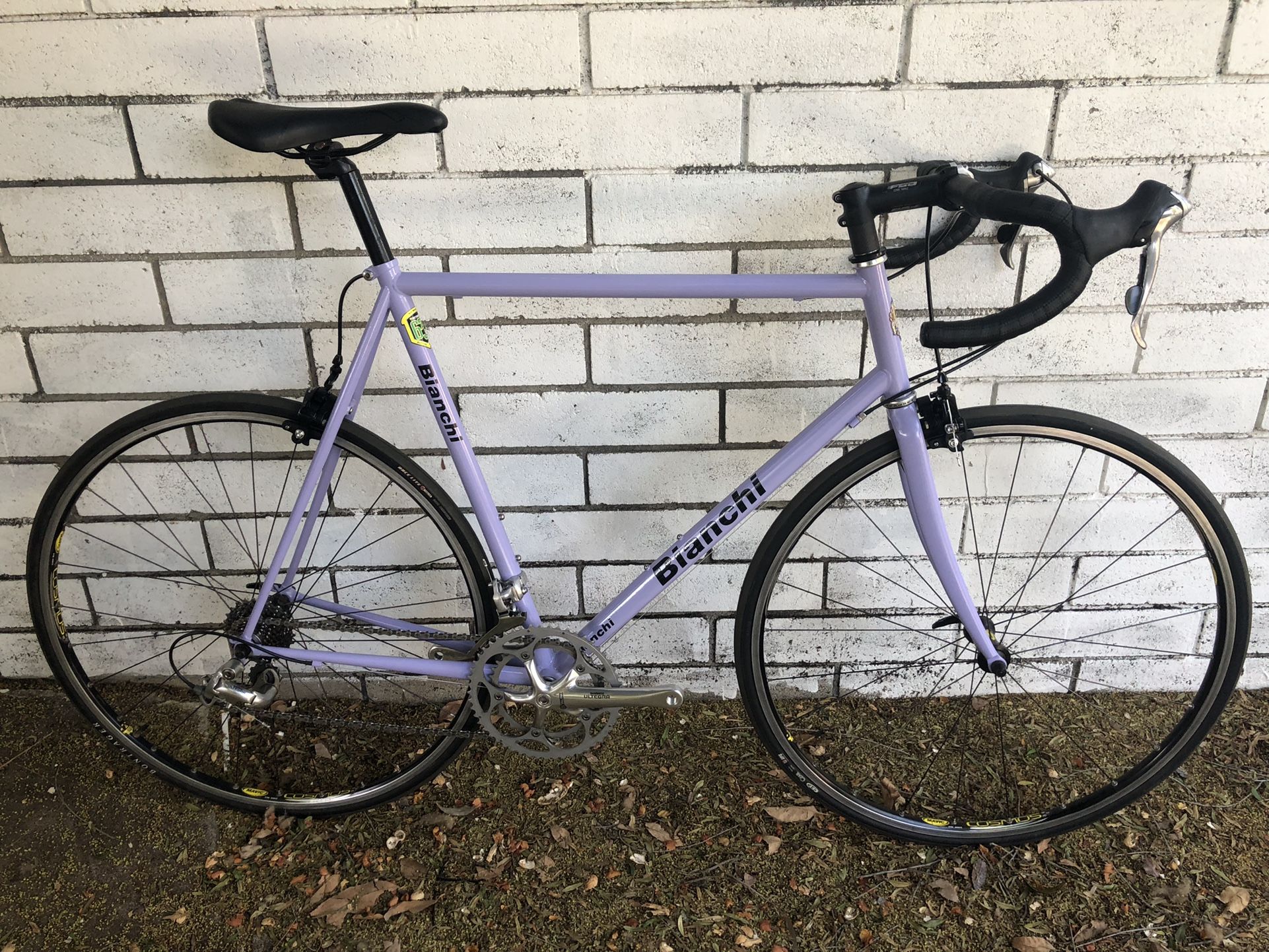 Bianchi Vigorelli Road Bike - Reynolds/Carbon New Paint - New Build - Ultegra- Mavic -FSA - Bontrager- 700c - Ready To Ride
