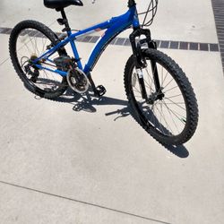 Diamondback Cobra 21 Speed, Just Tuned Up