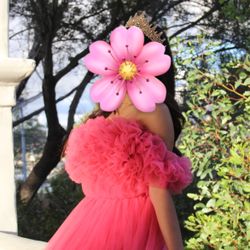 Puffy Long Dress For Photoshoot