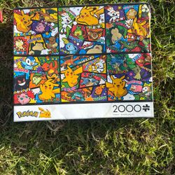 Pre Teenager Pokemon Puzzle 