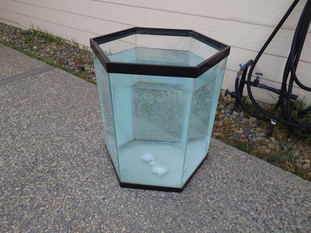 35 Gallon Hexagon Fish Tank