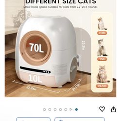 Cat Litter Box Self Clean 