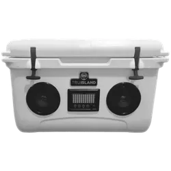 Cooler Coolers Speaker Cooler