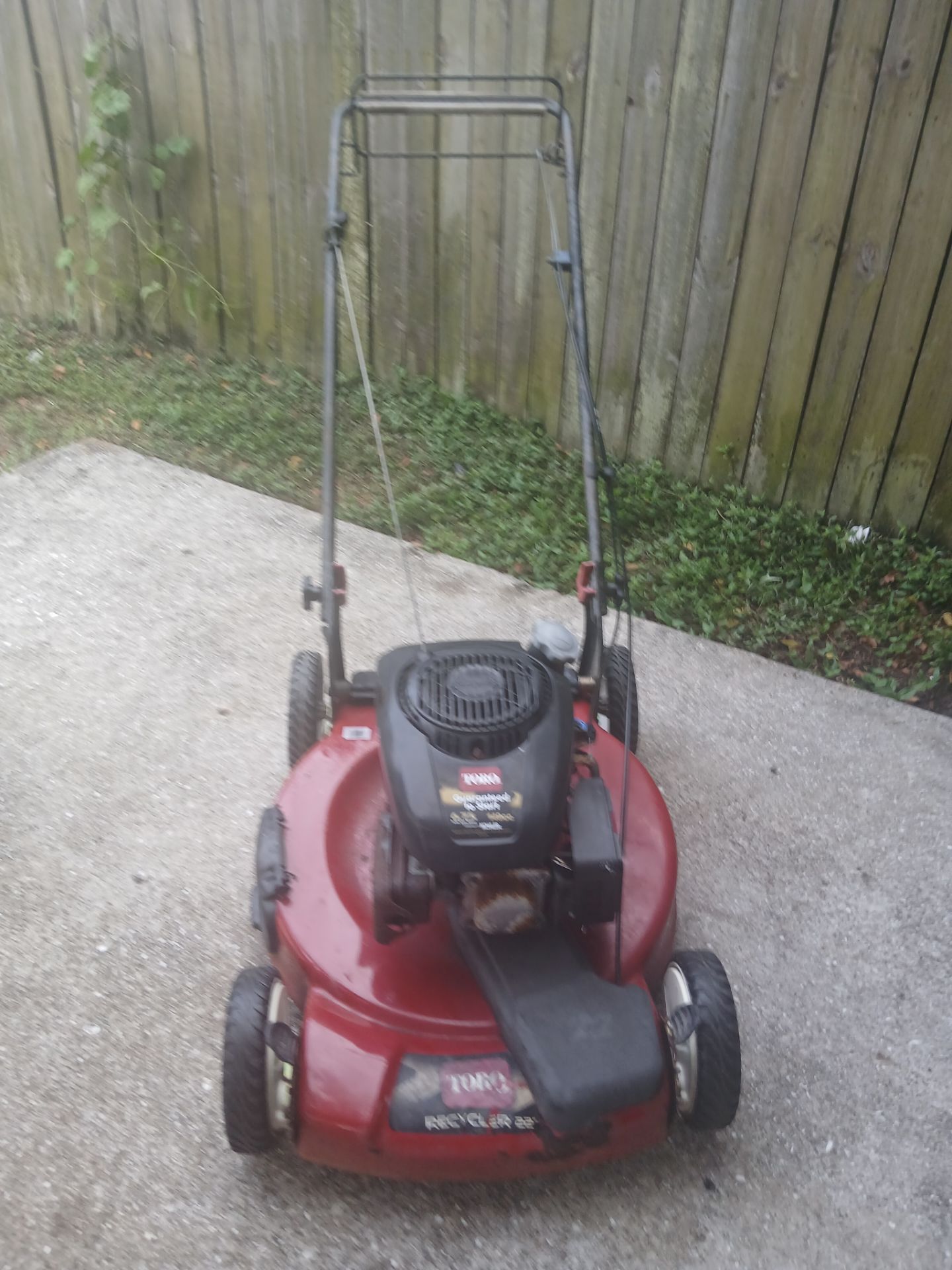 TORO