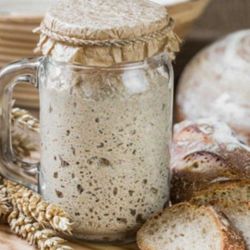 Organic Sourdough Starter