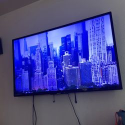 48” Inch Philips T.V.