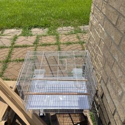 Birdcage 