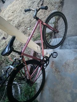 True fixie bike