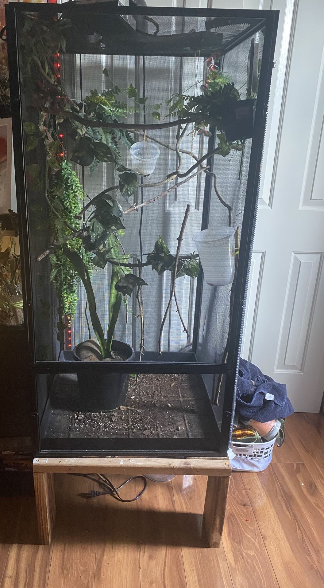 Chameleon Cage 24x24x48