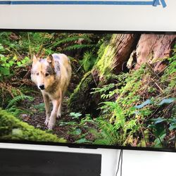 Sony XBR65x 850A 65” XBR 4k Ultra HD 3D LED HDTV