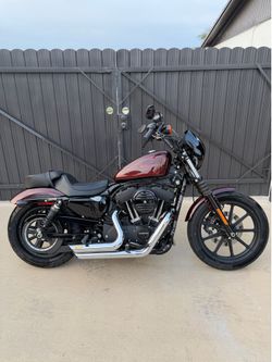 Harley Davidson sportster iron 1200