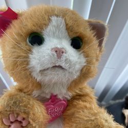 Moving Cat Toy