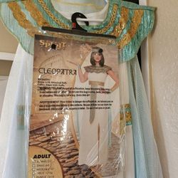 Halloween Costume 