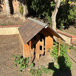 Dog House 