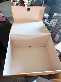 Shoe box and  2 bags