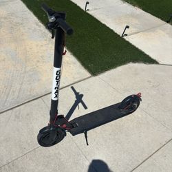 GoTrax Electric Scooter 