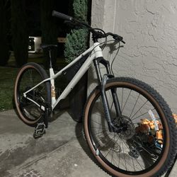New 2025 Trek Roscoe 7 