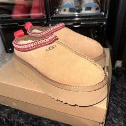Uggs Tazz