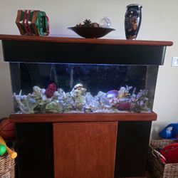 75 Gallon Fish Tank
