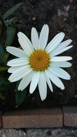 PLEASE DON'T WASTE PEOPLE'S TIME!!