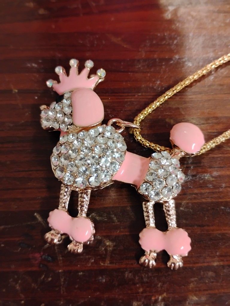 Poodle Dog