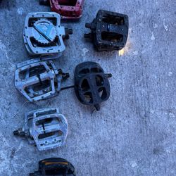 bundles of pedals / 
