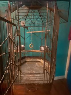 Ornate decorative Large bird/parrot cage