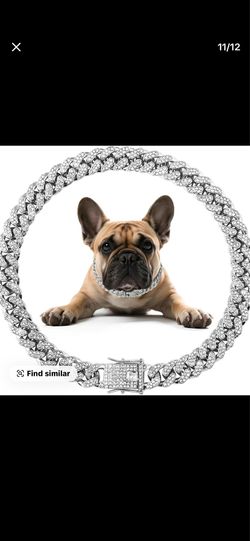 Dog chains