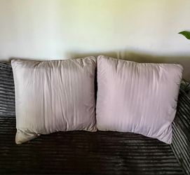 Large Pillows (2)