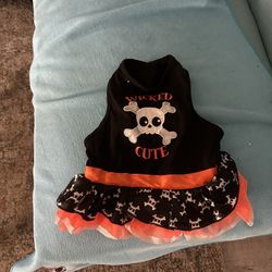Halloween Costume For Dog