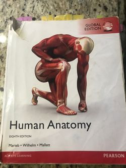Human Anatomy