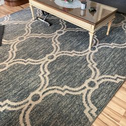 FREE FREE FREE 8’ by 10’ Area Rug.  Needs Cleaned.   READ BELOW