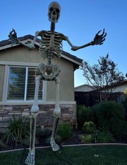 Used 12 ft skeletons