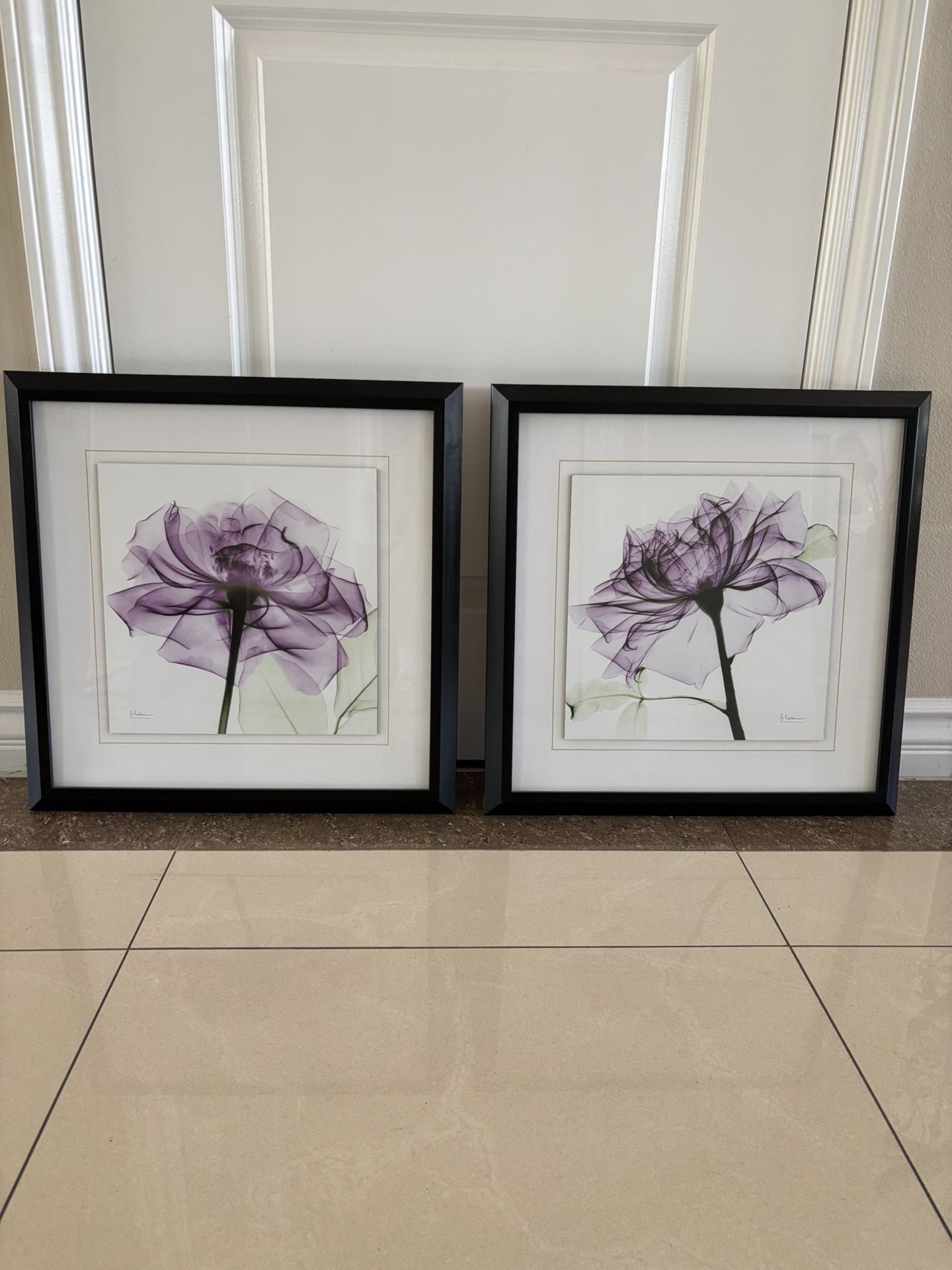 Framed Art Work