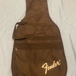 Electric AND Acoustic Guitar Bag