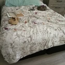 King Bedroom Set