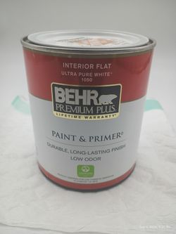 Gallon of Paint (Dark Secret)