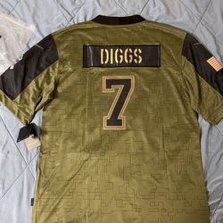 Trevon Diggs Dallas Cowboys salute to service football jersey stitched