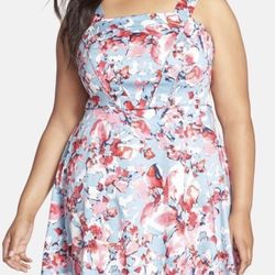 New With Tags Adrianna Papell Floral Blue White Pink Cotton Fit & Flare Dress - Size:12