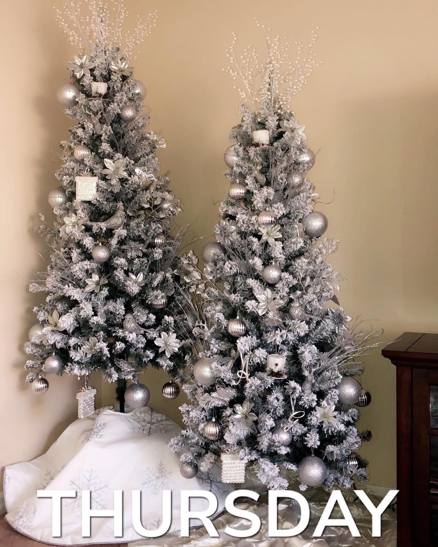 Two Christmas Trees ($60 ) For Both