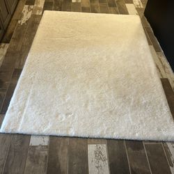 Area Rug
