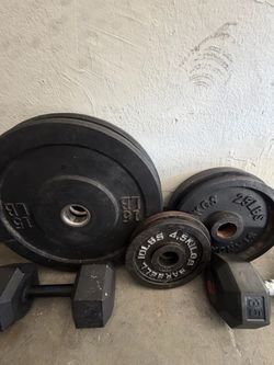 Weights / curl bar