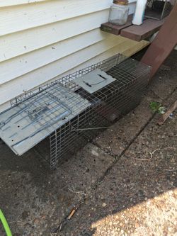 large Live Animal Trap Cage