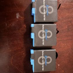 Go Pro Batteries 