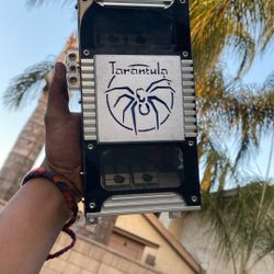 Tarantula Amp