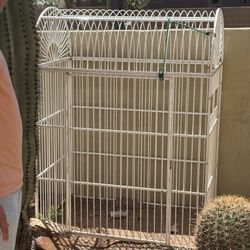 Bird Cage 