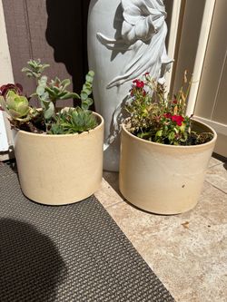 Plant each
