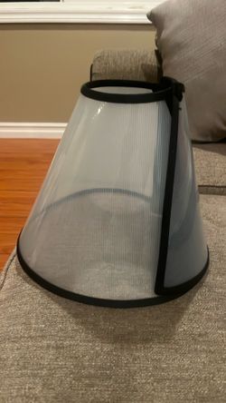 Cone for Dog